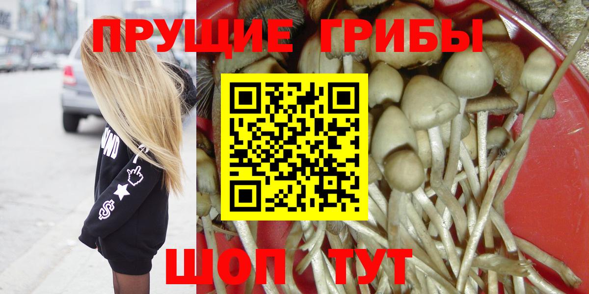 Красный Сулин  Псилоцибиновые грибы мухоморы  Вход с VPN 