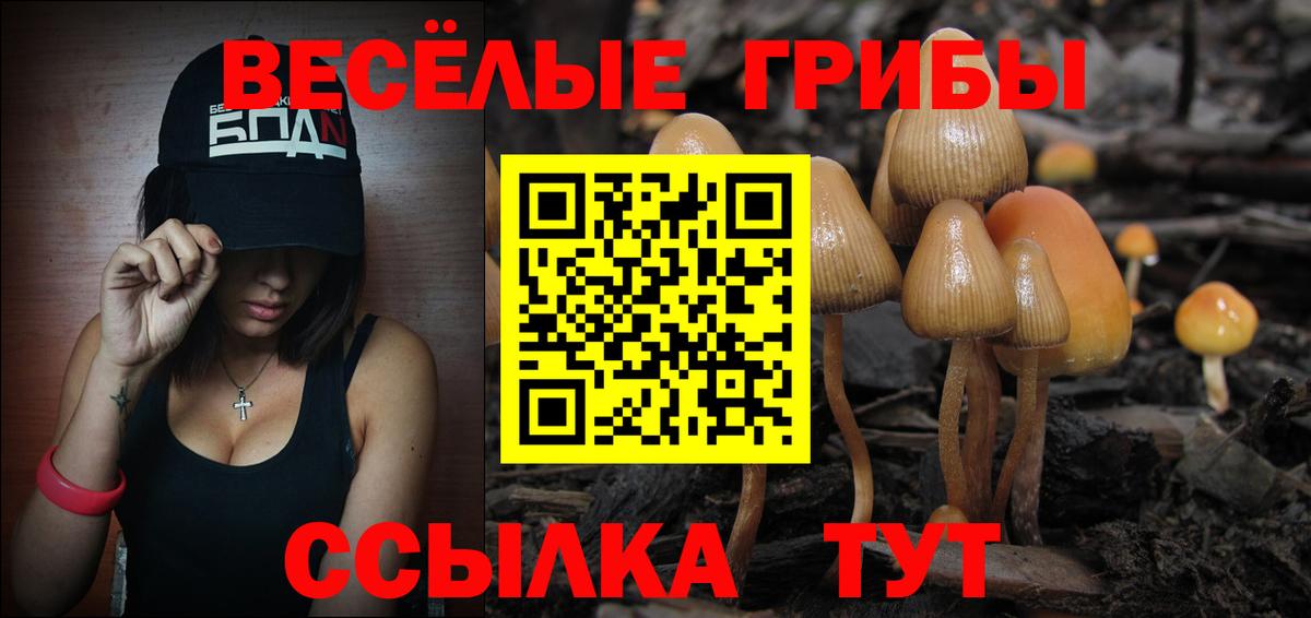 Псилоцибиновые грибы мицелий Красный Сулин